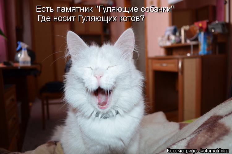 Есть памятник "Гуляющие собачки" Есть памятник "Гуляющие собачки" Где носит Гуляющих котов?... Котоматрица: Есть памятник "Гуляющие собачки" Есть памятник "Гуляющие собачки" Где носит Гуляющих котов?