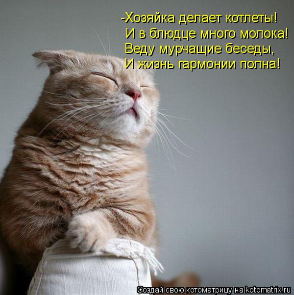 -Хозяйка делает котлеты! Веду мурчащие беседы, И жизнь гармонии полна! И в блюдце много молока!... Котоматрица: -Хозяйка делает котлеты! Веду мурчащие беседы, И жизнь гармонии полна! И в блюдце много молока!