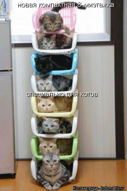 новая компактная 8-миэтажка специально для котов... Котоматрица: новая компактная 8-миэтажка специально для котов