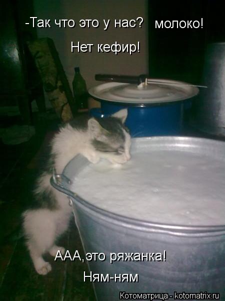 Котоматрица: -Так что это у нас? молоко! Нет кефир! ААА,это ряжанка! Ням-ням