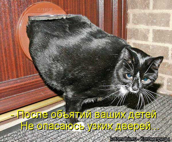 - После объятий ваших детей Не опасаюсь узких дверей...... Котоматрица: - После объятий ваших детей Не опасаюсь узких дверей...