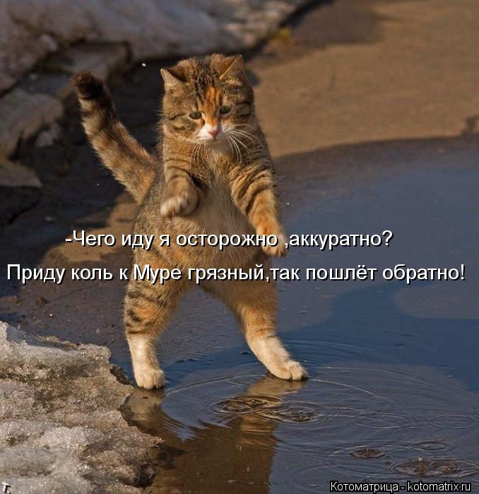 Приду коль к Муре грязный,так пошлёт обратно! -Чего иду я осторожно ,аккуратно?... Котоматрица: Приду коль к Муре грязный,так пошлёт обратно! -Чего иду я осторожно ,аккуратно?