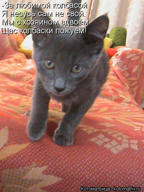 -За любимой колбасой Я несусь сам не свой. Мы с хозяином вдвоём Щас колбаски пожуём!... Котоматрица: -За любимой колбасой Я несусь сам не свой. Мы с хозяином вдвоём Щас колбаски пожуём!