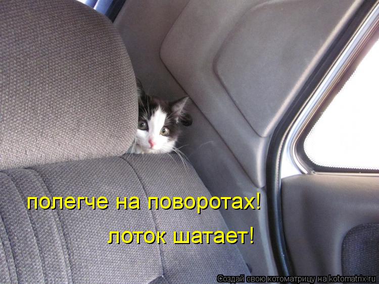 полегче на поворотах! лоток шатает!... Котоматрица: полегче на поворотах! лоток шатает!