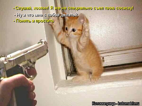 Котоматрица: Слушай, хозяин! Я же не специально съел твою сосиску!  - - Ну и что мне с тобой делать? - Понять и простить