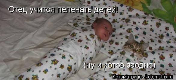 Котоматрица: Отец учится пеленать детей!  (ну и котов заодно)