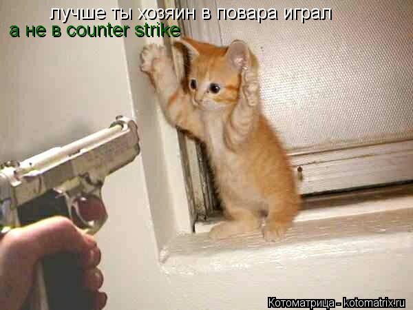 лучше ты хозяин в повара играл лучше ты хозяин в повара играл а не в counter strike... Котоматрица: лучше ты хозяин в повара играл лучше ты хозяин в повара играл а не в counter strike