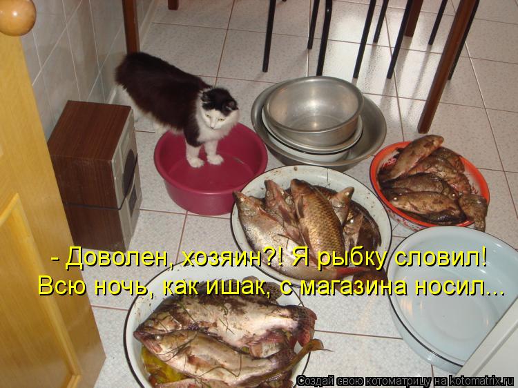 - Доволен, хозяин?! Я рыбку словил! Всю ночь, как ишак, с магазина носил...... Котоматрица: - Доволен, хозяин?! Я рыбку словил! Всю ночь, как ишак, с магазина носил...