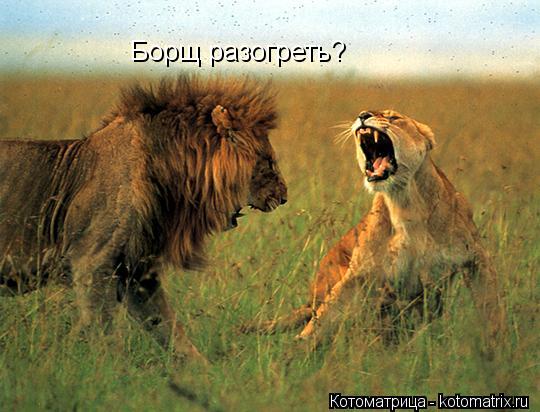 Борщ разогреть?... Котоматрица: Борщ разогреть?