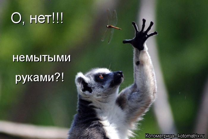 О, нет!!! немытыми руками?!... Котоматрица: О, нет!!! немытыми руками?!