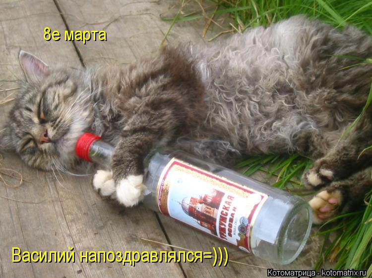 8е марта Василий напоздравлялся=)))... Котоматрица: 8е марта Василий напоздравлялся=)))