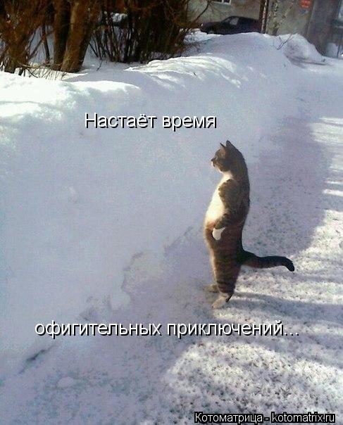 Настаёт время офигительных приключений...... Котоматрица: Настаёт время офигительных приключений...