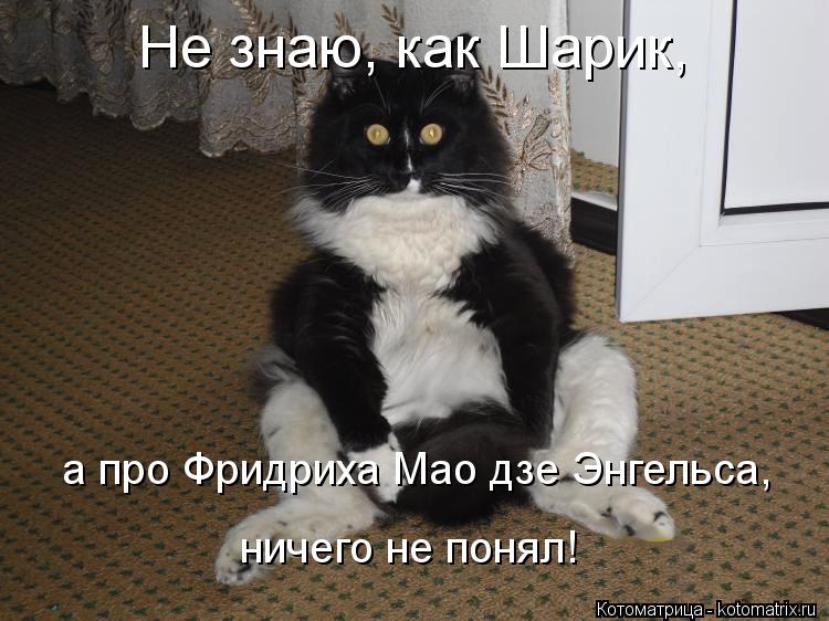 Котоматрица: Не знаю, как Шарик, а про Фридриха Мао дзе Энгельса, ничего не понял!