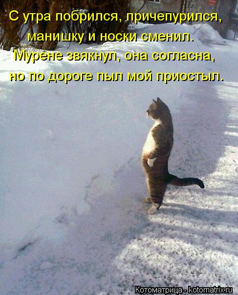 Котоматрица: С утра побрился, причепурился,  манишку и носки сменил.   Мурене звякнул, она согласна, но по дороге пыл мой приостыл.