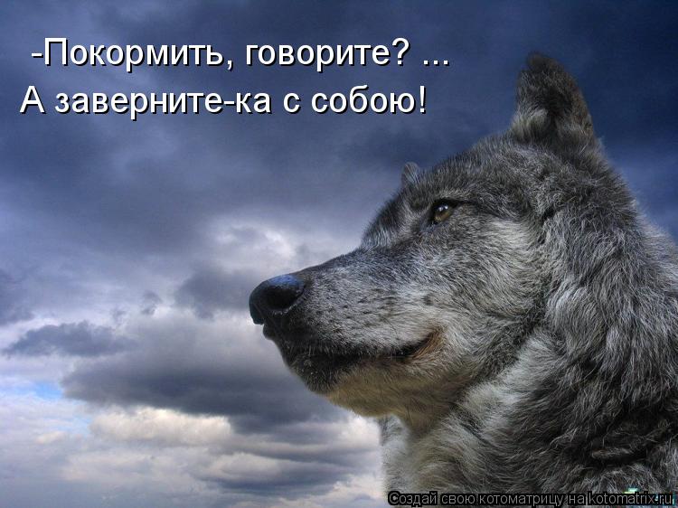 -Покормить, говорите? ... А заверните-ка с собою!... Котоматрица: -Покормить, говорите? ... А заверните-ка с собою!