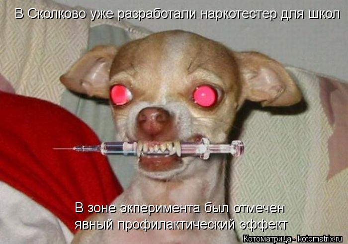 Котоматрица: В Сколково уже разработали наркотестер для школ  В зоне экперимента был отмечен   явный профилактический эффект