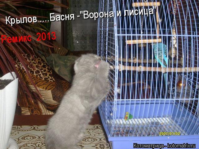 Крылов ....Басня -"Ворона и лисица" Ремикс 2013... Котоматрица: Крылов ....Басня -"Ворона и лисица" Ремикс 2013