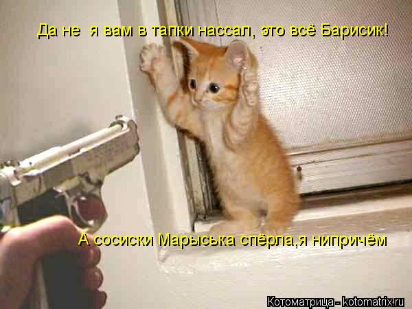 Да не я вам в тапки нассал, это всё Барисик! И сосиски он спёр! Да не я вам в тапки нассал, это всё... Котоматрица: Да не я вам в тапки нассал, это всё Барисик! И сосиски он спёр! Да не я вам в тапки нассал, это всё Барисик! А сосиски Марыська спёрла,я ниприч