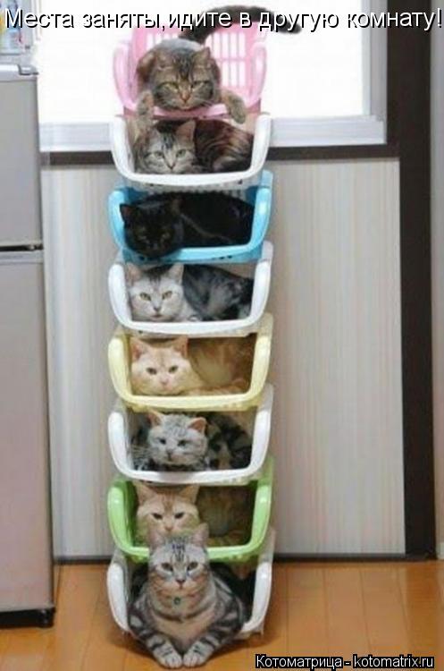 Котоматрица: Места заняты,идите в другую комнату!