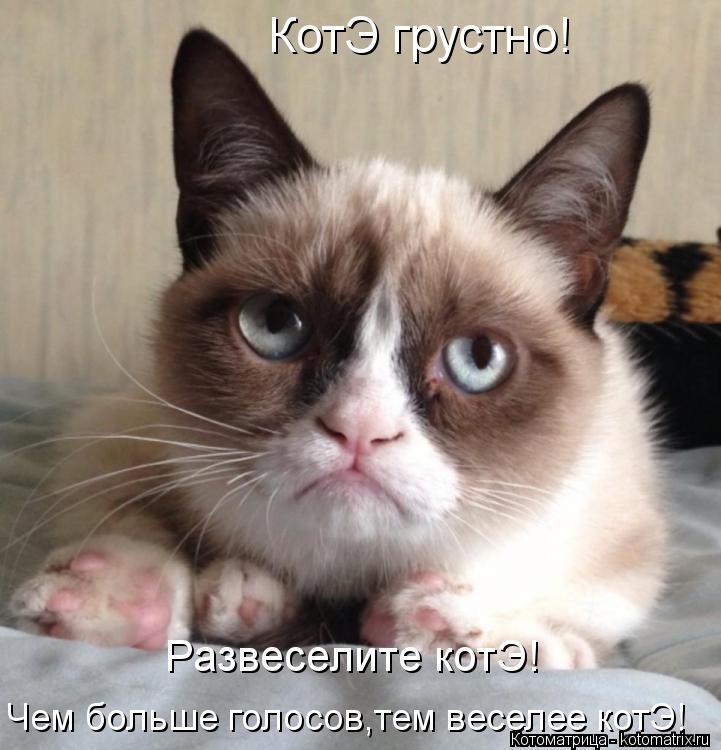 Котоматрица: КотЭ грустно! Чем больше голосов,тем веселее котЭ! Развеселите котЭ!