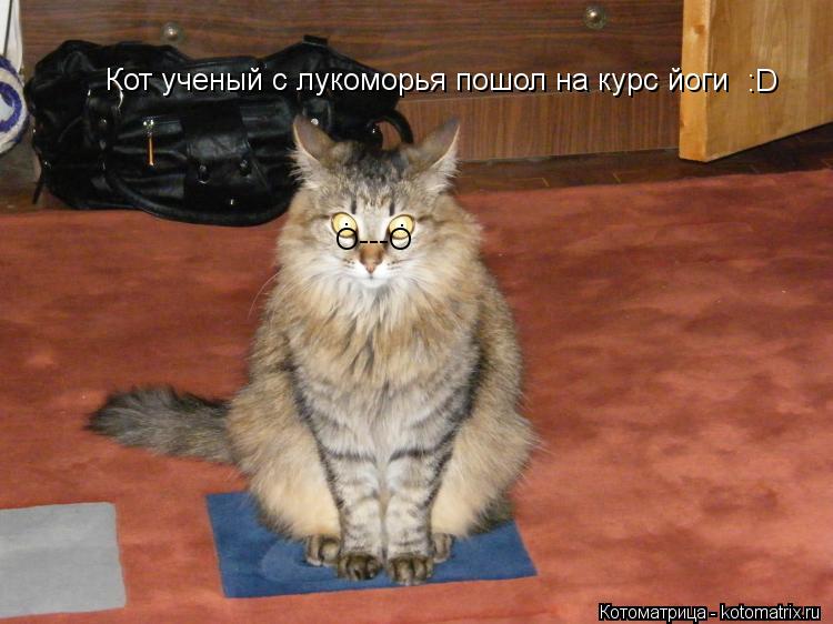 О---О Кот ученый с лукоморья пошол на курс йоги . . :D... Котоматрица: О---О Кот ученый с лукоморья пошол на курс йоги . . :D