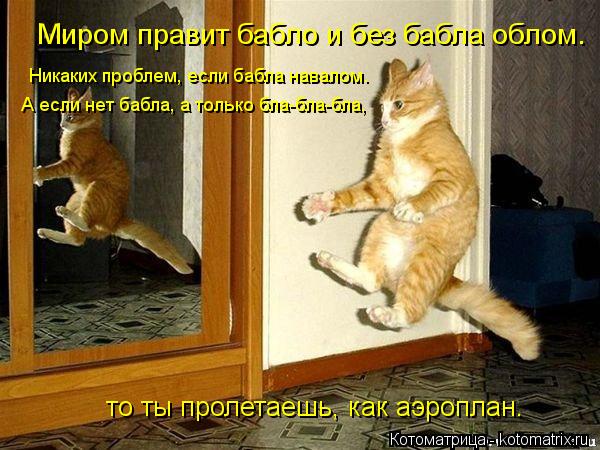 Миром правит бабло и без бабла облом. Никаких проблем, если бабла навалом. А если нет бабла, а только... Котоматрица: Миром правит бабло и без бабла облом. Никаких проблем, если бабла навалом. А если нет бабла, а только бла-бла-бла, то ты пролетаешь, как аэропл