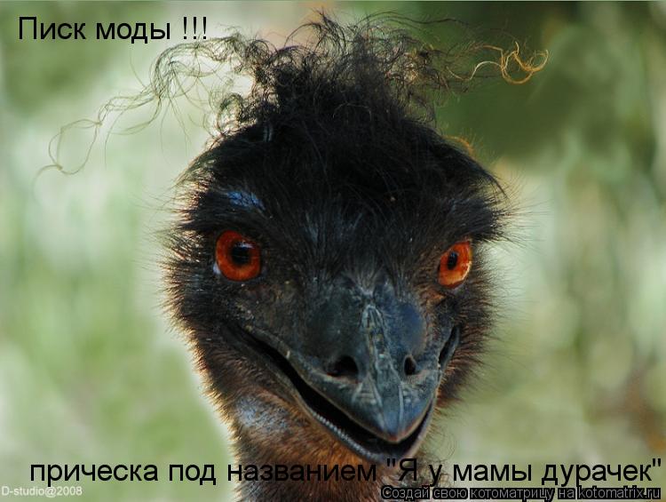 Писк моды !!! прическа под названием "Я у мамы дурачек"... Котоматрица: Писк моды !!! прическа под названием "Я у мамы дурачек"