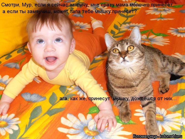 Котоматрица: Смотри, Мур, если я сейчас закричу, мне сразу мама молочко принесёт, а если ты замяучиш, может папа тебе мышку принесёт? ага, как же, принесут  