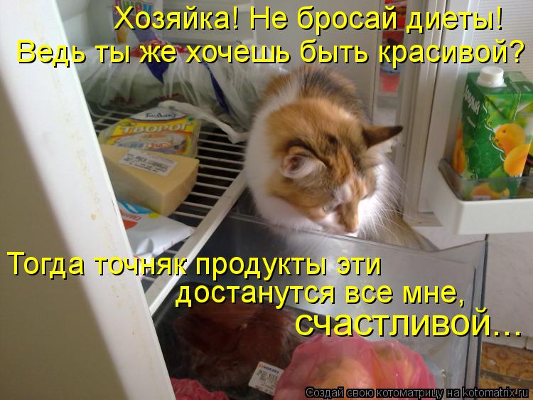 Хозяйка! Не бросай диеты! Ведь ты же хочешь быть красивой? Тогда точняк продукты эти достанутся все м... Котоматрица: Хозяйка! Не бросай диеты! Ведь ты же хочешь быть красивой? Тогда точняк продукты эти достанутся все мне, счастливой...