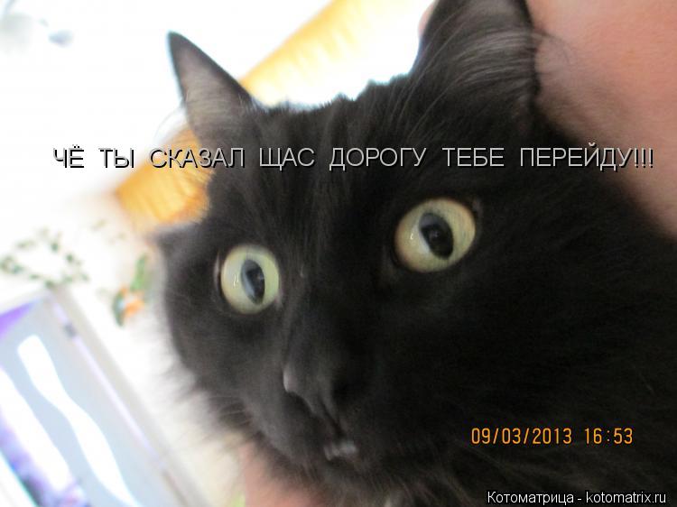 Котоматрица: ЧЁ  ТЫ  СКАЗАЛ  ЩАС  ДОРОГУ  ТЕБЕ  ПЕРЕЙДУ!!!