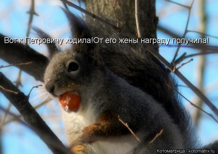Вот к Петровичу ходила!От его жены награду получила!... Котоматрица: Вот к Петровичу ходила!От его жены награду получила!