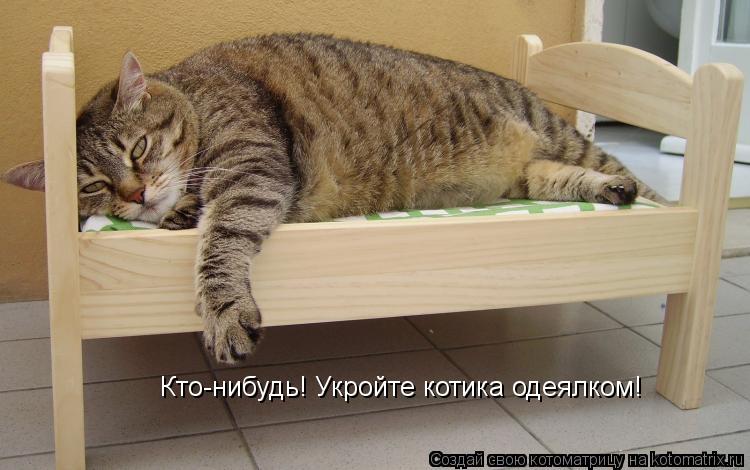 Котоматрица: Кто-нибудь! Укройте котика одеялком!