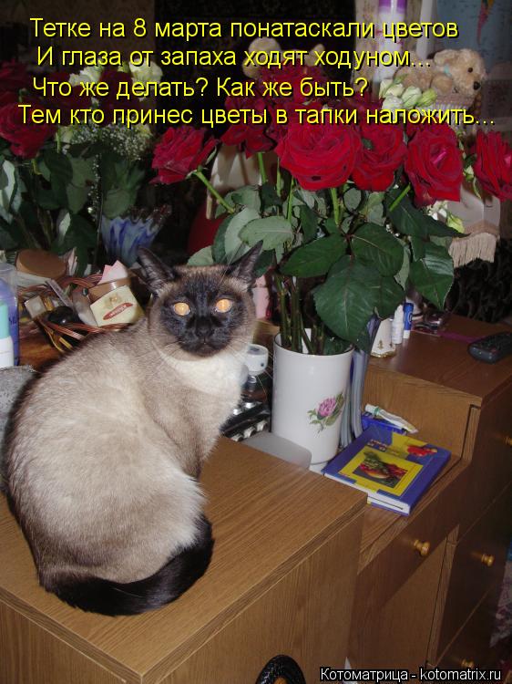 Котоматрица: глаза от запаха кругом  Тетке на 8 марта понатаскали цветов И глаза от запаха ходят ходуном... Что же делать? Как же быть? Тем кто принес цветы 