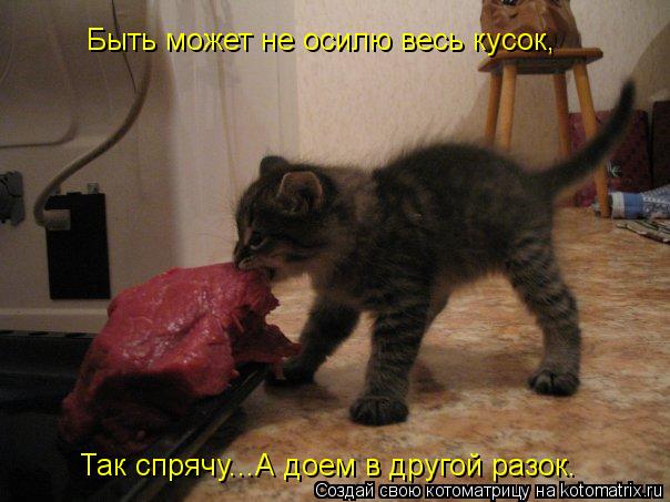 Котоматрица: Быть может не осилю весь кусок,  Так спрячу...А доем в другой разок.