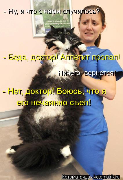 Котоматрица: - Ну, и что с нами случилось? - Беда, доктор! Аппетит пропал! - Ничего, вернётся! - Нет, доктор! Боюсь, что я его нечаянно съел!