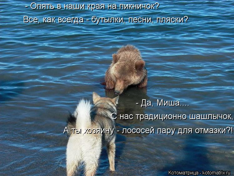 Котоматрица: - Да, Миша.... С нас традиционно шашлычок, А ты хозяину - лососей пару для отмазки?! Все, как всегда - бутылки, песни, пляски? - Опять в наши края на