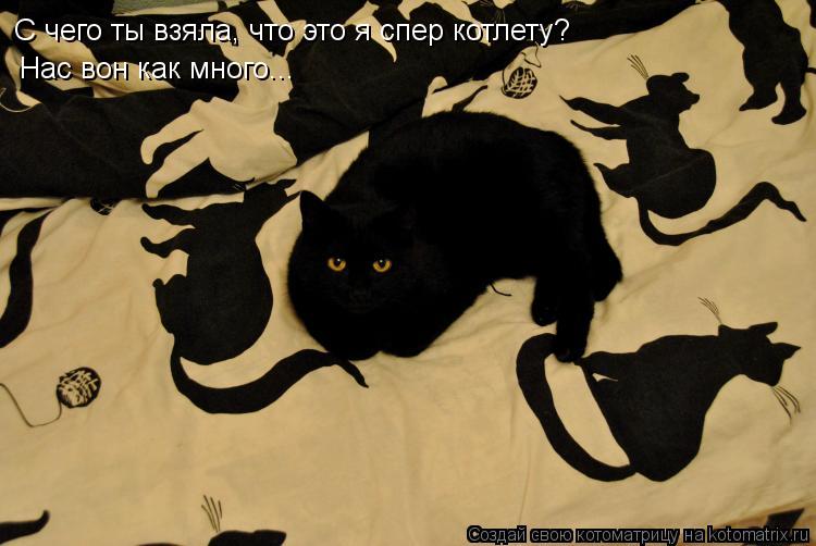 Котоматрица: С чего ты взяла, что это я спер котлету? Нас вон как много...