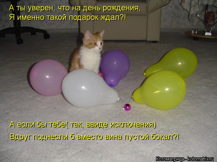 А ты уверен, что на день рождения, Я именно такой подарок ждал?! А если бы тебе( так, ввиде исключени... Котоматрица: А ты уверен, что на день рождения, Я именно такой подарок ждал?! А если бы тебе( так, ввиде исключения) Вдруг поднесли б вместо вина пустой бок