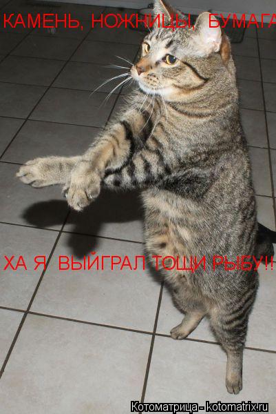Котоматрица: КАМЕНЬ, НОЖНИЦЫ,  БУМАГА  ХА Я  ВЫЙГРАЛ ТОЩИ РЫБУ!!!!!!!
