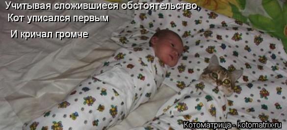 Котоматрица: Учитывая сложившиеся обстоятельство, Кот уписался первым  И кричал громче