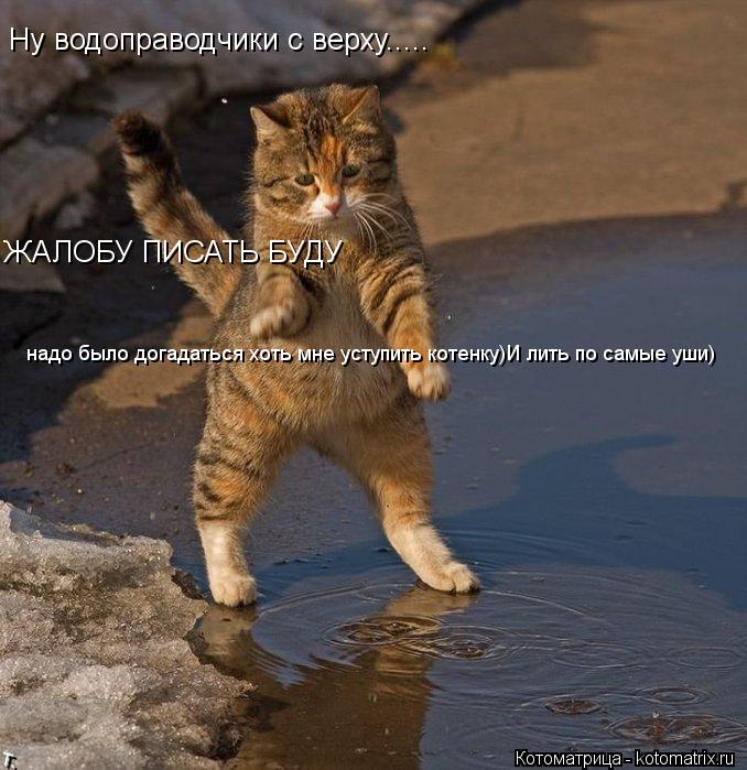 Ну водоправодчики с верху..... ЖАЛОБУ ПИСАТЬ БУДУ надо было догадаться хоть мне уступить котенку)И л... Котоматрица: Ну водоправодчики с верху..... ЖАЛОБУ ПИСАТЬ БУДУ надо было догадаться хоть мне уступить котенку)И лить по самые уши)
