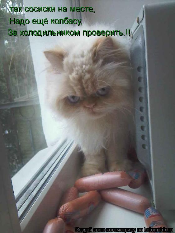 так сосиски на месте, Надо ещё колбасу, За холодильником проверить.!!... Котоматрица: так сосиски на месте, Надо ещё колбасу, За холодильником проверить.!!