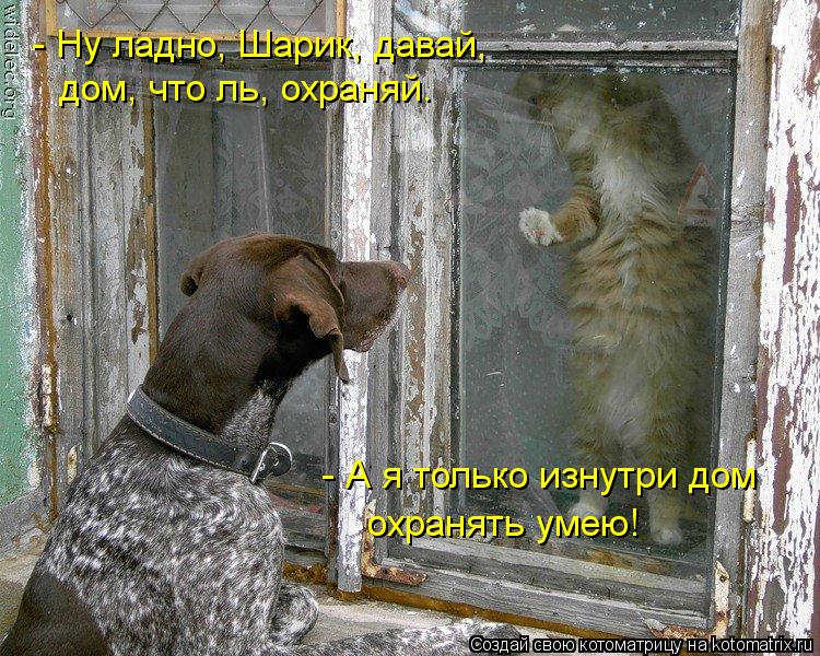 - Ну ладно, Шарик, давай, дом, что ль, охраняй. - А я только изнутри дом охранять умею!... Котоматрица: - Ну ладно, Шарик, давай, дом, что ль, охраняй. - А я только изнутри дом охранять умею!