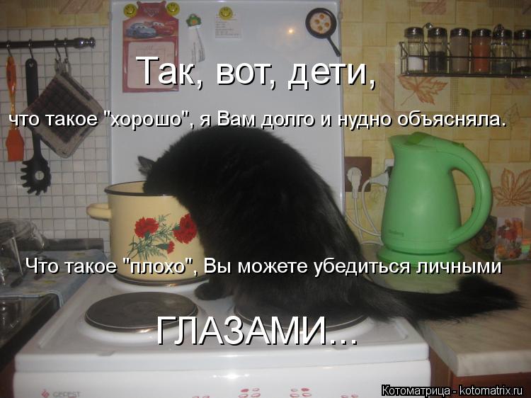 Так, вот, дети, что такое "хорошо", я Вам долго и нудно объясняла. Что такое "плохо", Вы можете убеди... Котоматрица: Так, вот, дети, что такое "хорошо", я Вам долго и нудно объясняла. Что такое "плохо", Вы можете убедиться личными ГЛАЗАМИ...