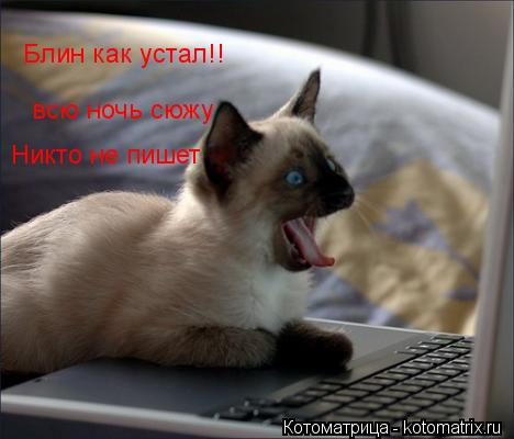 Блин как устал!! всю ночь сюжу Никто не пишет... Котоматрица: Блин как устал!! всю ночь сюжу Никто не пишет