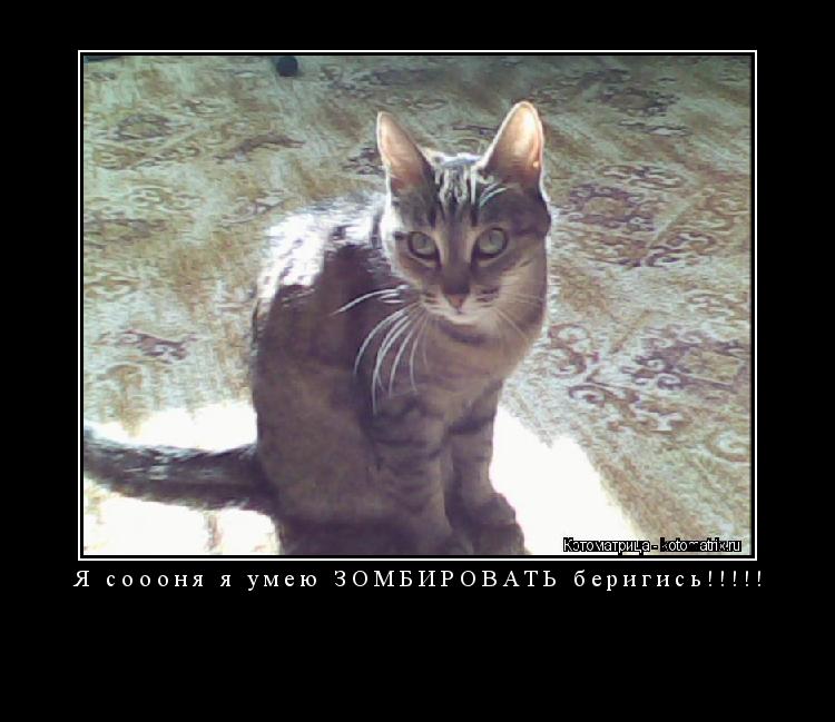 Я соооня я умею ЗОМБИРОВАТЬ беригись!!!!! ... Котоматрица: Я соооня я умею ЗОМБИРОВАТЬ беригись!!!!!