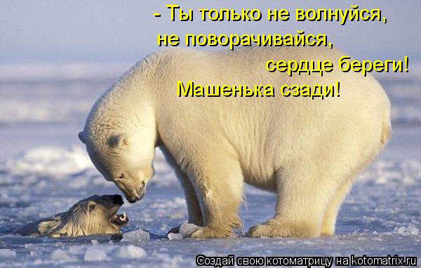 Котоматрица: - Ты только не волнуйся, не поворачивайся, сердце береги! Машенька сзади!