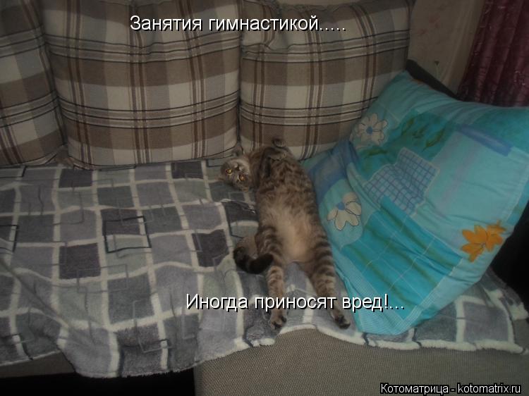 Занятия гимнастикой..... Иногда приносят вред!...... Котоматрица: Занятия гимнастикой..... Иногда приносят вред!...
