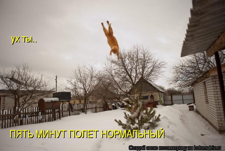 ух ты.. ПЯТЬ МИНУТ ПОЛЕТ НОРМАЛЬНЫЙ... Котоматрица: ух ты.. ПЯТЬ МИНУТ ПОЛЕТ НОРМАЛЬНЫЙ
