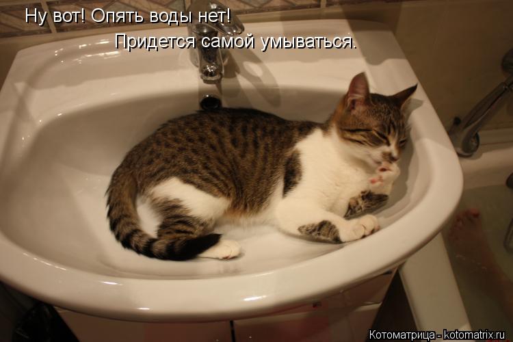 Котоматрица: Ну вот! Опять воды нет! Придется самой умываться.
